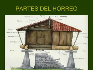 PARTES DEL HÓRREO patín (montera) 