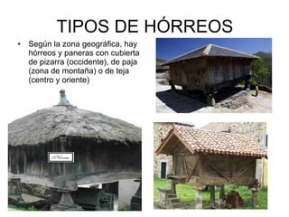 TIPOS DE HÓRREOS <ul><li>Según la zona geográfica, hay hórreos y paneras con cubierta de pizarra (occidente), de paja (zon...