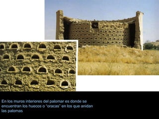 En los muros interiores del palomar es donde se encuentran los huecos o “oracas” en los que anidan las palomas   