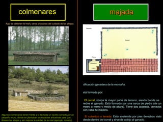 colmenares majada Edificación ganadera de la montaña.    Está formada por:  -     El corral : ocupa la mayor parte de terreno, siendo donde se  reúne el ganado. Está formado por una cerca de piedra (de un metro a metro y medio de altura). Tiene dos accesos, cerrados con valla de madera. -      El cobertizo o tenada : Está sostenida por pies derechos visto desde dentro del corral y sirve de cobijo al ganado. -  El chozo : vivienda del pastor o vaquero. De planta cuadrada, construido con muros de sillarejo. El interior es muy austero, con un tosco lecho de tablas, así como un hogar.   Aquí se obtienen la miel y otros productos del cuidado de las abejas.   Algunos colmenares tienen frente a la fachada un recinto cerrado por un pequeño muro, donde se plantaban las especies arbustivas para que libasen las abejas y así mejorar la calidad de la miel (ejemplo: romero).   