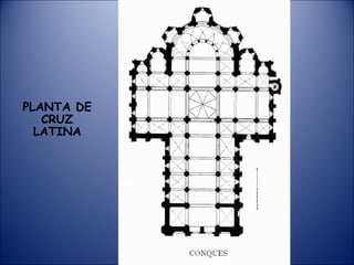 PLANTA DE CRUZ LATINA 