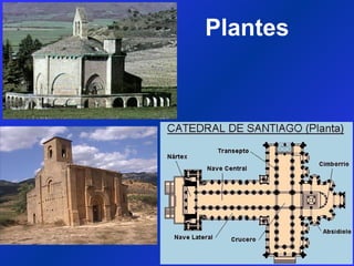 Plantes 