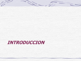 INTRODUCCION
 