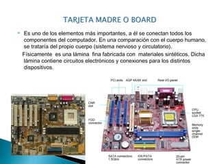    Es uno de los elementos más importantes, a él se conectan todos los
    componentes del computador. En una comparación con el cuerpo humano,
    se trataría del propio cuerpo (sistema nervioso y circulatorio).
    Físicamente  es una lámina  fina fabricada con  materiales sintéticos. Dicha
    lámina contiene circuitos electrónicos y conexiones para los distintos
    dispositivos.
 