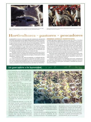 Arquitectura y urbanismo Pre Inca