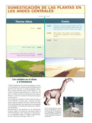 Arquitectura y urbanismo Pre Inca