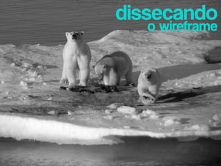 dissecando
    o wireframe
 