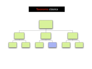 Arquitetura de Informação (Parte 2)