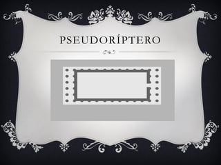 PSEUDORÍPTERO
 