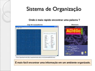Sistema de Organização 