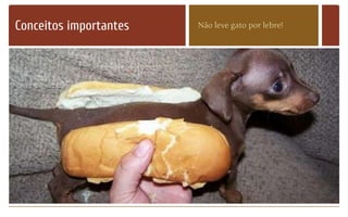 Conceitos importantes Não leve gato por lebre!
 
