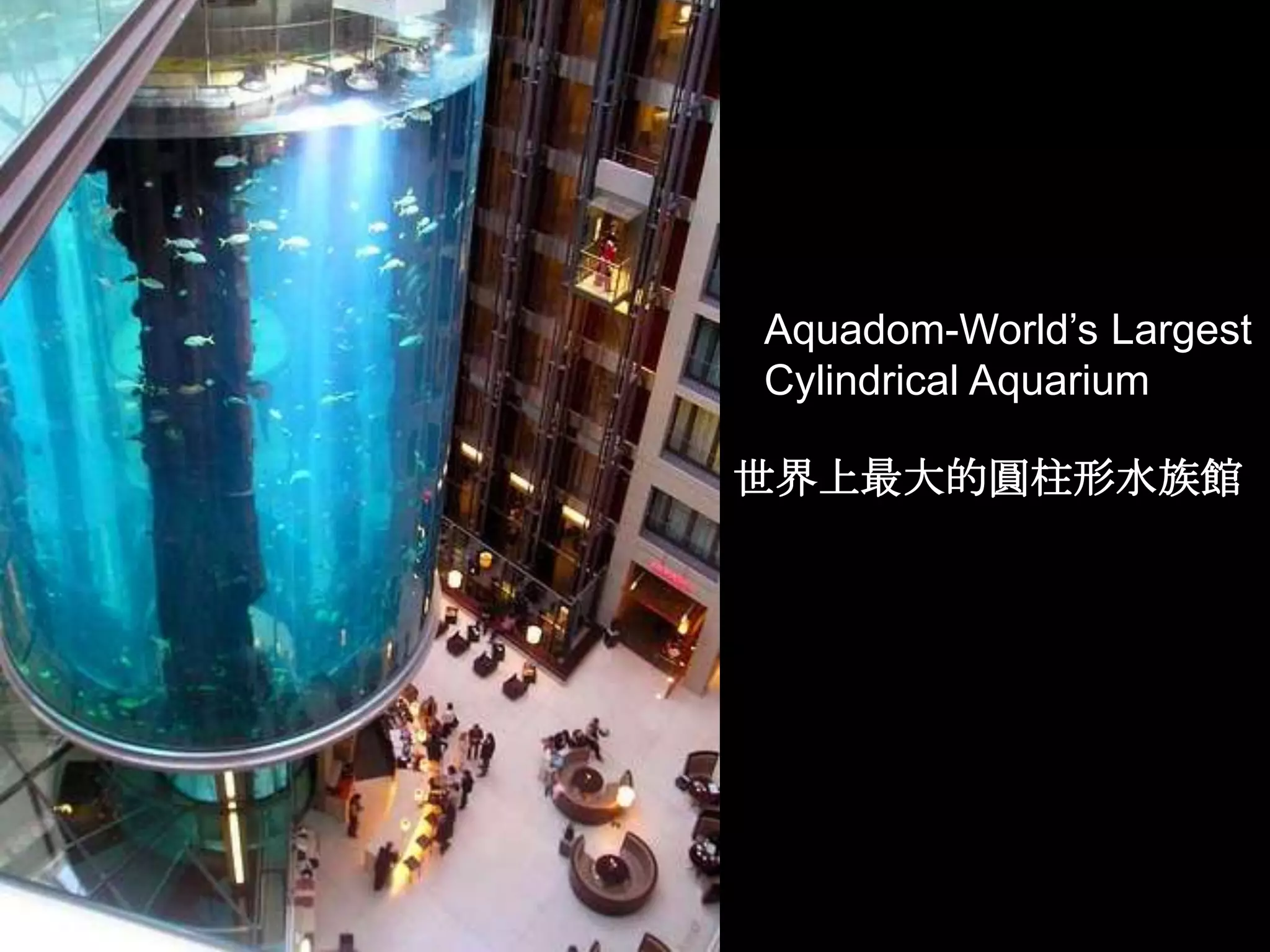 Aquadom-World’s Largest
Cylindrical Aquarium

世界上最大的圓柱形水族館
 