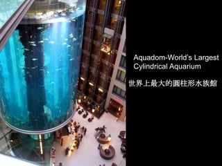Aquadom-World’s Largest
Cylindrical Aquarium

世界上最大的圓柱形水族館
 