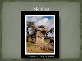 S. Pedro do Corval - Alentejo
 