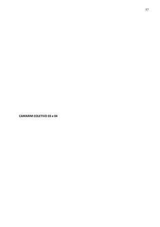 CAMARIM COLETIVO 03 e 04
57
 