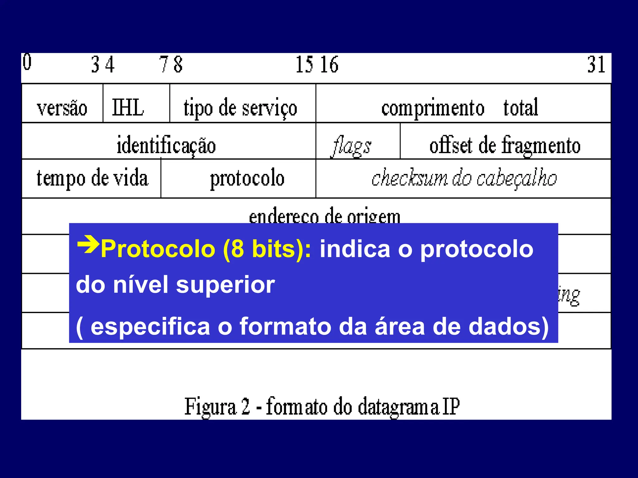 Protocolo (8 bits): indica o protocolo
do nível superior
( especifica o formato da área de dados)
 