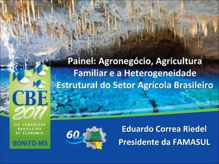 Painel: Agronegócio, Agricultura
Familiar e a Heterogeneidade
Estrutural do Setor Agrícola Brasileiro
Eduardo Correa Riedel
Presidente da FAMASUL
 