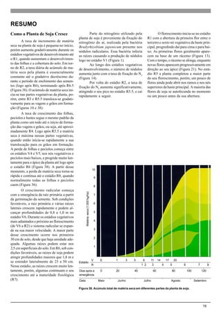 19
Como a Planta de Soja Cresce
A taxa de incremento de matéria
seca na planta de soja é pequena no início,
porém aumenta gradativamente durante os
estádios vegetativos de desenvolvimento até
o R1, quando aumentam o desenvolvimen-
to das folhas e a cobertura do solo. Em tor-
no de R2, a taxa diária de acúmulo de ma-
téria seca pela planta é essencialmente
constante até o gradativo decréscimo du-
rante o período de enchimento das semen-
tes (logo após R6), terminando após R6.5
(Figura 38). O acúmulo de matéria seca ini-
cia-se nas partes vegetativas da planta, po-
rém, entre R3 e R5.5 transloca-se gradati-
vamente para as vagens e grãos em forma-
ção (Figuras 10 e 38).
A taxa de crescimento das folhas,
pecíolos e hastes segue o mesmo padrão da
planta como um todo até o início de forma-
ção das vagens e grãos, ou seja, até aproxi-
madamente R4. Logo após R5.5 a matéria
seca é máxima nessas partes vegetativas,
quando então inicia-se rapidamente a sua
translocação para os grãos em formação.
A perda de folhas e pecíolos começa entre
os estádios V4 e V5, nos nós vegetativos e
pecíolos mais baixos, e progride muito len-
tamente para o ápice da planta até logo após
o estádio R6 (Figura 38). A partir desse
momento, a perda de matéria seca torna-se
rápida e contínua até o estádio R8, quando
normalmente todas as folhas e pecíolos
caem (Figura 36).
O crescimento radicular começa
com a emergência da raiz primária a partir
da germinação da semente. Sob condições
favoráveis, a raiz primária e várias raízes
laterais crescem rapidamente e podem al-
cançar profundidades de 0,8 a 1,0 m no
estádio V6. Durante os estádios vegetativos
mais adiantados e próximo ao florescimento
(de V6 a R2) o sistema radicular se expan-
de na sua maior velocidade. A maior parte
desse crescimento ocorre nos primeiros
30 cm de solo, desde que haja umidade ade-
quada. Algumas raízes podem estar nos
2,5 cm superficiais do solo. Em R6, sob con-
dições favoráveis, as raízes de soja podem
atingir profundidades maiores que 1,8 m e
se estender lateralmente de 25 a 50 cm.
Nesse estádio, as raízes crescem muito len-
tamente, porém, algumas continuam o seu
crescimento até a maturidade fisiológica
(R7).
Parte do nitrogênio utilizado pela
planta de soja é proveniente da fixação do
nitrogênio do ar, realizada pela bactéria
Bradyrhizobium japonicum presente nos
nódulos radiculares. Essa bactéria infecta
as raízes causando a produção de nódulos
logo no estádio V1 (Figura 1).
Ao longo dos estádios vegetativos
de desenvolvimento, o número de nódulos
aumenta junto com a taxa de fixação do N2
(Figura 14).
Por volta do estádio R2, a taxa de
fixação do N2
aumenta significativamente,
atingindo o seu pico no estádio R5.5, e cai
rapidamente a seguir.
O florescimento inicia-se no estádio
R1 com a abertura da primeira flor entre o
terceiro e sexto nó vegetativo da haste prin-
cipal, progredindo daí para cima e para bai-
xo. As primeiras flores geralmente apare-
cem na base de um rácemo (Figura 13).
Com o tempo, o rácemo se alonga, enquanto
novas flores aparecem progressivamente em
direção ao seu ápice (Figura 21). No está-
dio R5 a planta completou a maior parte
do seu florescimento, porém, um pouco de
flores ainda pode abrir nos ramos e nos nós
superiores da haste principal. A maioria das
flores de soja se autofecunda no momento
ou um pouco antes da sua abertura.
RESUMO
Figura 38. Acúmulo total de matéria seca em diferentes partes da planta de soja.
Matériaseca(1.000kg/ha)
10
9
8
7
6
5
4
3
2
1
V E 1 3 5 8 11 14 17 20
R 1 2 3 4 5 6 7 8
Dias após a 0 20 40 60 80 100 120
emergência
Data Maio Junho Julho Agosto Setembro
Estádio
 