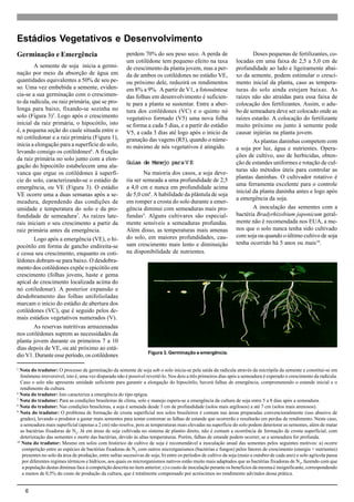 6
Germinação e Emergência
A semente de soja inicia a germi-
nação por meio da absorção de água em
quantidades equivalentes a 50% de seu pe-
so. Uma vez embebida a semente, eviden-
cia-se a sua germinação com o crescimen-
to da radícula, ou raiz primária, que se pro-
longa para baixo, fixando-se sozinha no
solo (Figura 3)5
. Logo após o crescimento
inicial da raiz primária, o hipocótilo, isto
é, a pequena seção do caule situada entre o
nó cotiledonar e a raiz primária (Figura 1),
inicia a elongação para a superfície do solo,
levando consigo os cotilédones6
. A fixação
da raiz primária no solo junto com a elon-
gação do hipocótilo estabelecem uma ala-
vanca que ergue os cotilédones à superfí-
cie do solo, caracterizando-se o estádio de
emergência, ou VE (Figura 3). O estádio
VE ocorre uma a duas semanas após a se-
meadura, dependendo das condições de
umidade e temperatura do solo e da pro-
fundidade de semeadura7
. As raízes late-
rais iniciam o seu crescimento a partir da
raiz primária antes da emergência.
Logo após a emergência (VE), o hi-
pocótilo em forma de gancho endireita-se
e cessa seu crescimento, enquanto os coti-
lédones dobram-se para baixo. O desdobra-
mento dos cotilédones expõe o epicótilo em
crescimento (folhas jovens, haste e gema
apical de crescimento localizada acima do
nó cotiledonar). A posterior expansão e
desdobramento das folhas unifolioladas
marcam o início do estádio de abertura dos
cotilédones (VC), que é seguido pelos de-
mais estádios vegetativos numerados (V).
As reservas nutritivas armazenadas
nos cotilédones suprem as necessidades da
planta jovem durante os primeiros 7 a 10
dias depois de VE, ou até próximo ao está-
dio V1. Durante esse período, os cotilédones
perdem 70% do seu peso seco. A perda de
um cotilédone tem pequeno efeito na taxa
de crescimento da planta jovem, mas a per-
da de ambos os cotilédones no estádio VE,
ou próximo dele, reduzirá os rendimentos
em 8% a 9%. A partir de V1, a fotossíntese
das folhas em desenvolvimento é suficien-
te para a planta se sustentar. Entre a aber-
tura dos cotilédones (VC) e o quinto nó
vegetativo formado (V5) uma nova folha
se forma a cada 5 dias, e a partir do estádio
V5, a cada 3 dias até logo após o início da
granação das vagens (R5), quando o núme-
ro máximo de nós vegetativos é atingido.
Guias de Manejo parGuias de Manejo parGuias de Manejo parGuias de Manejo parGuias de Manejo paraaaaaV EV EV EV EV E
Na maioria dos casos, a soja deve-
ria ser semeada a uma profundidade de 2,5
a 4,0 cm e nunca em profundidade acima
de 5,0 cm8
. A habilidade da plântula de soja
em romper a crosta do solo durante a emer-
gência diminui com semeaduras mais pro-
fundas9
. Alguns cultivares são especial-
mente sensíveis a semeaduras profundas.
Além disso, as temperaturas mais amenas
do solo, em maiores profundidades, cau-
sam crescimento mais lento e diminuição
na disponibilidade de nutrientes.
Estádios Vegetativos e Desenvolvimento
5
Nota do tradutor: O processo de germinação da semente de soja sob o solo inicia-se pela saída da radícula através da micrópila da semente e constitui-se em
fenômeno irreversível, isto é, uma vez disparado não é possível revertê-lo. Nos dois a três primeiros dias após a semeadura é esperado o crescimento da radícula.
Caso o solo não apresente umidade suficiente para garantir a elongação do hipocótilo, haverá falhas de emergência, comprometendo o estande inicial e o
rendimento da cultura.
6
Nota do tradutor: Isto caracteriza a emergência do tipo epígea.
7
Nota do tradutor: Para as condições brasileiras de clima, solo e manejo espera-se a emergência da cultura de soja entre 5 a 8 dias após a semeadura.
8
Nota do tradutor: Nas condições brasileiras, a soja é semeada desde 3 cm de profundidade (solos mais argilosos) a até 7 cm (solos mais arenosos).
9
Nota do tradutor: O problema de formação de crosta superficial nos solos brasileiros é comum nas áreas preparadas convencionalmente (uso abusivo de
grades), levando o produtor a gastar mais sementes para tentar contornar as falhas de estande que ocorrerão e resultarão em perdas de rendimento. Neste caso,
a semeadura mais superficial (apenas a 2 cm) não resolve, pois as temperaturas mais elevadas na superfície do solo podem deteriorar as sementes, além de matar
as bactérias fixadoras de N2
. Já em áreas de soja cultivada no sistema de plantio direto, não é comum a ocorrência de formação de crosta superficial, com
deterioração das sementes e morte das bactérias, devido às altas temperaturas. Porém, falhas de estande podem ocorrer, se a semeadura for profunda.
10
Nota do tradutor: Mesmo em solos com histórico de cultivo de soja é recomendável a inoculação anual das sementes pelos seguintes motivos: a) ocorre
competição entre as espécies de bactérias fixadoras de N2
com outros microrganismos (bactérias e fungos) pelos fatores de crescimento (energia + nutrientes)
presentes no solo da área de produção, entre safras sucessivas de soja; b) entre os períodos de cultivo da soja (maio a outubro de cada ano) o solo agrícola passa
por diferentes regimes térmicos e hídricos, aos quais os microrganismos nativos estão muito mais adaptados que as bactérias fixadoras de N2
, fazendo com que
a população destas diminua face à competição descrita no item anterior; c) o custo de inoculação perante os benefícios da mesma é insignificante, correspondendo
a menos de 0,5% do custo de produção da cultura, que é totalmente compensado por acréscimos no rendimento advindos dessa prática.
Doses pequenas de fertilizantes, co-
locadas em uma faixa de 2,5 a 5,0 cm de
profundidade ao lado e ligeiramente abai-
xo da semente, podem estimular o cresci-
mento inicial da planta, caso as tempera-
turas do solo ainda estejam baixas. As
raízes não são atraídas para essa faixa de
colocação dos fertilizantes. Assim, o adu-
bo de semeadura deve ser colocado onde as
raízes estarão. A colocação do fertilizante
muito próximo ou junto à semente pode
causar injúrias na planta jovem.
As plantas daninhas competem com
a soja por luz, água e nutrientes. Opera-
ções de cultivo, uso de herbicidas, obten-
ção de estandes uniformes e rotação de cul-
turas são métodos úteis para controlar as
plantas daninhas. O cultivador rotativo é
uma ferramenta excelente para o controle
inicial da planta daninha antes e logo após
a emergência da soja.
A inoculação das sementes com a
bactéria Bradyrhizobium japonicum geral-
mente não é recomendada nos EUA, a me-
nos que o solo nunca tenha sido cultivado
com soja ou quando o último cultivo de soja
tenha ocorrido há 5 anos ou mais10
.
Figura 3. Germinação e emergência.
 