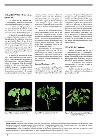8
ESTÁDIOS V3 E V5 (terceiro e
quinto nós)
As plantas em V3 possuem 18 a
23 cm de altura e quatro nós, cujas folhas
apresentam folíolos desdobrados (Figura 7).
As plantas em V5 apresentam-se
com aproximadamente 25 a 30 cm de altu-
ra e possuem seis nós, nos quais as folhas
estão com folíolos desdobrados (Figura 8).
O ângulo de inserção formado en-
tre a haste principal e um pecíolo foliar é
chamado axila. Em cada axila foliar existe
uma gema axilar (Figura 1) que é seme-
lhante ao ponto de crescimento (gema api-
cal) da haste principal. Porém, essa gema
pode se transformar em um ramo vegeta-
tivo, permanecer dormente (inativa) ou de-
senvolver um agrupamento de flores e, pos-
teriormente, vagens.
O número de ramos que se desen-
volve a partir da haste principal aumenta
com os espaçamentos mais largos entre as
linhas da cultura e com densidades mais
baixas de plantas na linha, dependendo
também do cultivar em crescimento. Em
condições de campo, a planta de soja pode
desenvolver nenhum ou até seis ramos.
Geralmente, o ramo maior é o de inserção
mais baixa na haste principal e, progressi-
vamente, os ramos menores se desenvol-
vem mais acima. Cada ramo desenvolve
folhas trifolioladas, nós, axilas, gemas axi-
lares, flores e vagens, da mesma forma que
a haste principal. A Figura 7 mostra o pri-
meiro ramo começando a se desenvolver
na axila do primeiro nó da folha trifolio-
lada.
Cerca de uma semana antes do iní-
cio do florescimento (estádio V5 no pre-
sente artigo), as gemas axilares na parte
superior da haste aparecem fechadas e co-
meçam a desenvolver agrupamentos de flo-
res chamados rácemos. Um rácemo é uma
estrutura pequena semelhante à haste, que
produz flores e finalmente vagens ao lon-
go de sua extensão (Figura 21).
O número total de nós que a planta
pode produzir é definido em V5. Em uma
planta de soja com hábito de crescimento
indeterminado, o potencial de formação de
nós sobre a haste principal é sempre maior
que o número total de nós observado no
fim do seu ciclo.
Guias de Manejo para V3-V5
As gemas axilares das folhas unifo-
lioladas e trifolioladas e dos cotilédones
permite à planta de soja uma grande capa-
cidade para se recuperar de danos, tais como
Figura 7. Planta de soja no estádio V3.
11
Nota do tradutor: Nas últimas safras brasileiras de soja, esse tipo de problema tem ocorrido em estádios vegetativos mais precoces. Os produtores têm se
deparado com o problema do ataque de pombas durante ou logo após a emergência das plântulas. Ao se alimentar, essa ave corta a haste abaixo do ponto de
inserção dos cotilédones, causando a morte das plântulas e resultando em significativas falhas de estande.
12
Nota do tradutor: Devido às caraterísticas da planta com hábito de crescimento indeterminado, e por tradição trazida pela cultura do milho, nos EUA os
produtores trabalham com maiores espaçamentos. No Brasil, os espaçamentos entre linhas variam de 40 a 60 cm.
os causados pelo granizo. O ápice da haste
principal, ou gema apical de crescimento,
normalmente exibe dominância sobre as ge-
mas axilares laterais durante o crescimen-
to vegetativo da planta. Se o ápice da haste
é cortado ou quebrado, as gemas axilares
restantes ficam livres dessa dominância
apical e os ramos crescem profusamente.
Portanto, a planta possui a habilidade de
produzir novos ramos e folhas após a des-
truição pelo granizo, recuperando pratica-
mente toda folhagem. Cortando-se a plan-
ta abaixo do nó cotiledonar ela morrerá,
isto porque não há nenhum broto axilar
abaixo desse nó11
.
ESTÁDIO V6 (sexto nó)
Plantas no estádio V6 têm 30 a
35 cm de altura (Figura 9). Nesse estádio,
sete nós têm folhas com folíolos desdobra-
dos e as folhas unifolioladas e os cotilédones
já podem ter senescido e caído. Novos es-
tádios de V aparecem agora a cada 3 dias.
As raízes laterais estão completa-
mente presentes no solo entre as linhas de
plantas espaçadas a 75 cm12
.
Se 50% de folhas forem perdidas no
estádio V6, o rendimento será reduzido em
aproximadamente 3%.
Figura 9. Planta de soja no estádio V6 apre-
sentando ramificação.
Figura 8. Planta de soja no estádio V5.
 