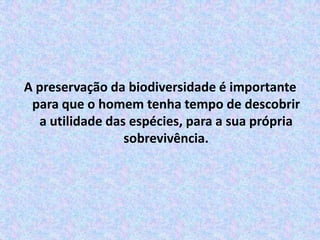 A preservação da biodiversidade é importante para que o homem tenha tempo de descobrir a utilidade das espécies, para a sua própria sobrevivência. 