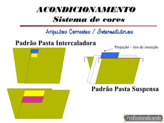 ACONDICIONAMENTO
Sistema de cores
Padrão Pasta Intercaladora
Padrão Pasta Suspensa
Arquivos Correntes / Intermediários
Projeção – tira de inserção
 
