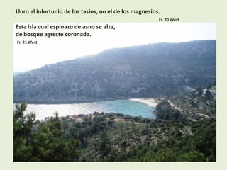 Lloro el infortunio de los tasios, no el de los magnesios.
Fr. 20 West
Esta isla cual espinazo de asno se alza,
de bosque agreste coronada.
Fr. 21 West
 