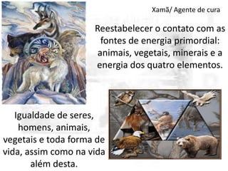 Xamã/ Agente de cura

Reestabelecer o contato com as
fontes de energia primordial:
animais, vegetais, minerais e a
energia dos quatro elementos.

Igualdade de seres,
homens, animais,
vegetais e toda forma de
vida, assim como na vida
além desta.

 