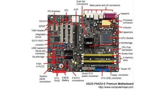 Comprehensive Guide to Motherboard Components and Functions in ...