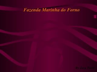 Fazenda Marinha do FornoFazenda Marinha do Forno
By Zeca Porto
 