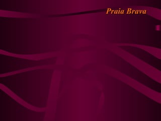 Praia BravaPraia Brava
 