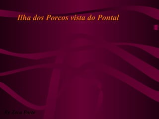 Ilha dos Porcos vista do PontalIlha dos Porcos vista do Pontal
By Zeca Porto
 