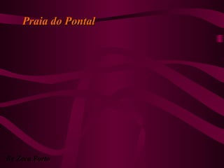 Praia do PontalPraia do Pontal
By Zeca Porto
 