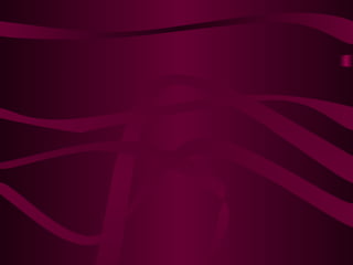 Arraial do Cabo - Rio de Janeiro