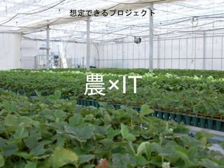 農×IT
想定できるプロジェクト
 