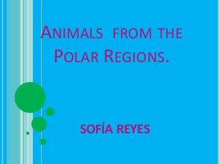 ANIMALS FROM THE
 POLAR REGIONS.


    SOFÍA REYES
 