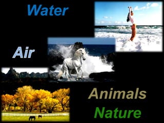 Water Air Animals Nature 