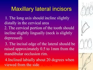 Arrangement of anterior artificial teeth | PPTX