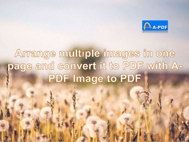 multiple pages on one pdf