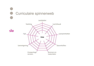 Curriculaire spinnenweb
 