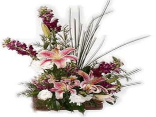 Arranjos para Púlpitos I