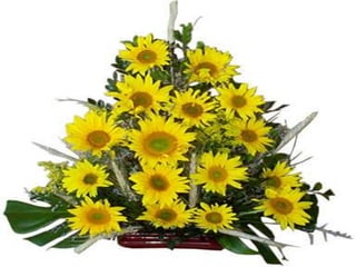 Arranjos para Púlpitos I