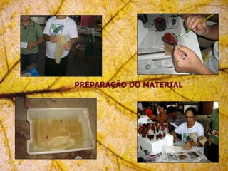 PREPARAÇÃO DO MATERIAL   