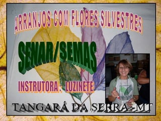 ARRANJOS COM FLORES SILVESTRES SENAR/SEMAS INSTRUTORA :  LUZINETE  TANGARÁ DA SERRA -MT 