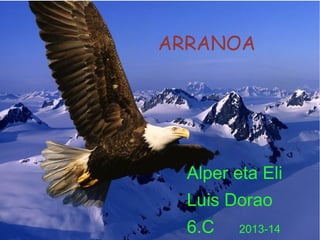 ARRANOA

Alper eta Eli
Luis Dorao
6.C

2013-14

 