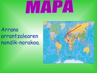 Arrano
arrantzalearen
nondik-norakoa.
 