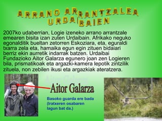 2007ko udaberrian, Logie izeneko arrano arrantzale
emearen bisita izan zuten Urdaibain. Afrikako neguko
egonalditik bueltan zetorren Eskoziara, eta, eguraldi
txarra zela eta, hamaika egun egin zituen bidaiari
berriz ekin aurretik indarrak batzen. Urdaibai
Fundazioko Aitor Galarza egunero joan zen Logieren
bila, prismatikoak eta argazki-kamera lepotik zintzilik
zituela, non zebilen ikusi eta argazkiak ateratzera.
Basoko guarda ere bada
(Iratxeren osabaren
lagun bat da.)
 