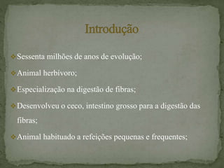 Sessenta milhões de anos de evolução;
Animal herbívoro;
Especialização na digestão de fibras;
Desenvolveu o ceco, intestino grosso para a digestão das
fibras;
Animal habituado a refeições pequenas e frequentes;
 