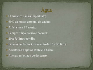  O primeiro e mais importante;
 60% da massa corporal do equino;
 A falta levará à morte;
 Sempre limpa, fresca e potável;
 20 a 75 litros por dia;
 Fêmeas em lactação: aumento de 15 a 30 litros;
 A restrição é após o exercício físico;
 Apenas em estado de descanso.
 