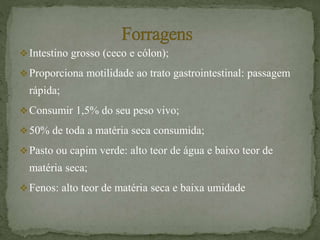 Intestino grosso (ceco e cólon);
Proporciona motilidade ao trato gastrointestinal: passagem
rápida;
Consumir 1,5% do seu peso vivo;
50% de toda a matéria seca consumida;
Pasto ou capim verde: alto teor de água e baixo teor de
matéria seca;
Fenos: alto teor de matéria seca e baixa umidade
 
